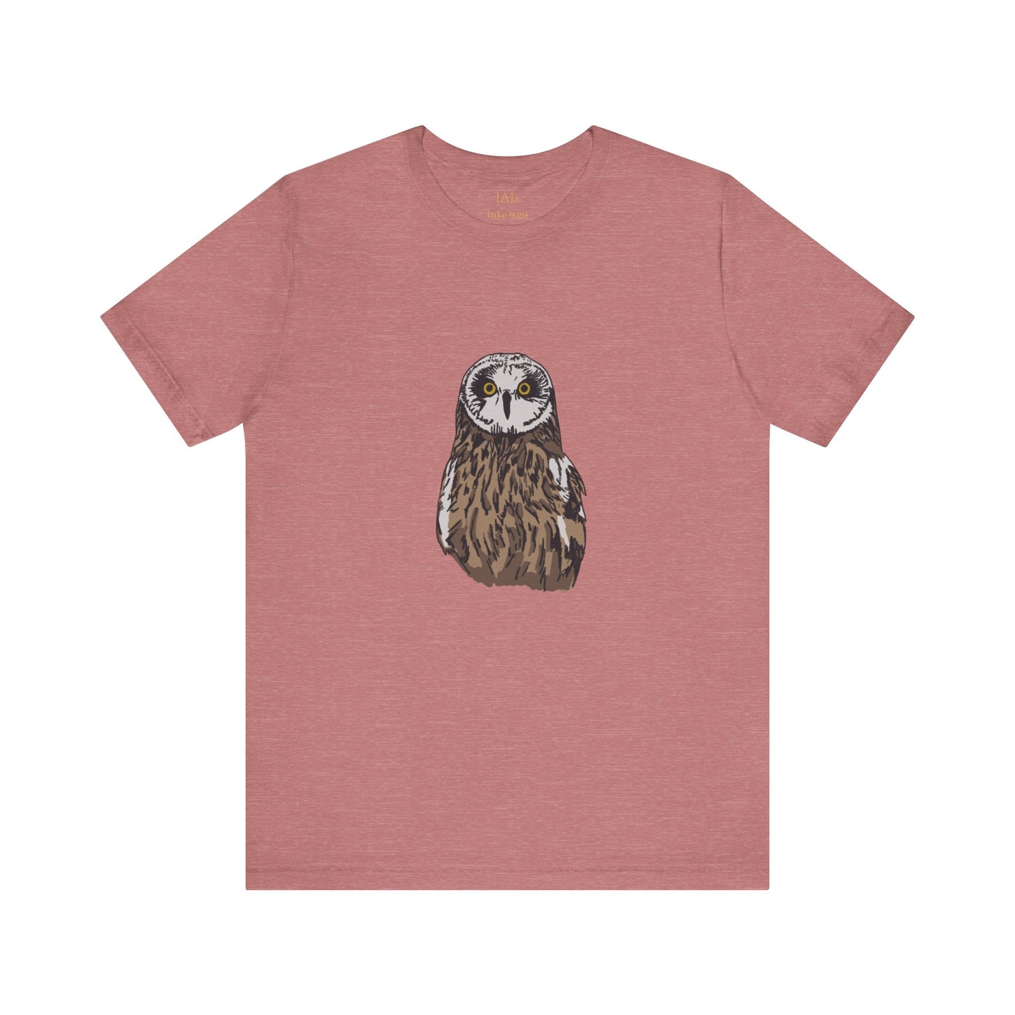WhOOoo Do You Say That I Am - Owl T-shirt, Hawaiian Barn Owl Bird, Christian Faith Gift, Vintage Style Top, Religious Graphic Apparel