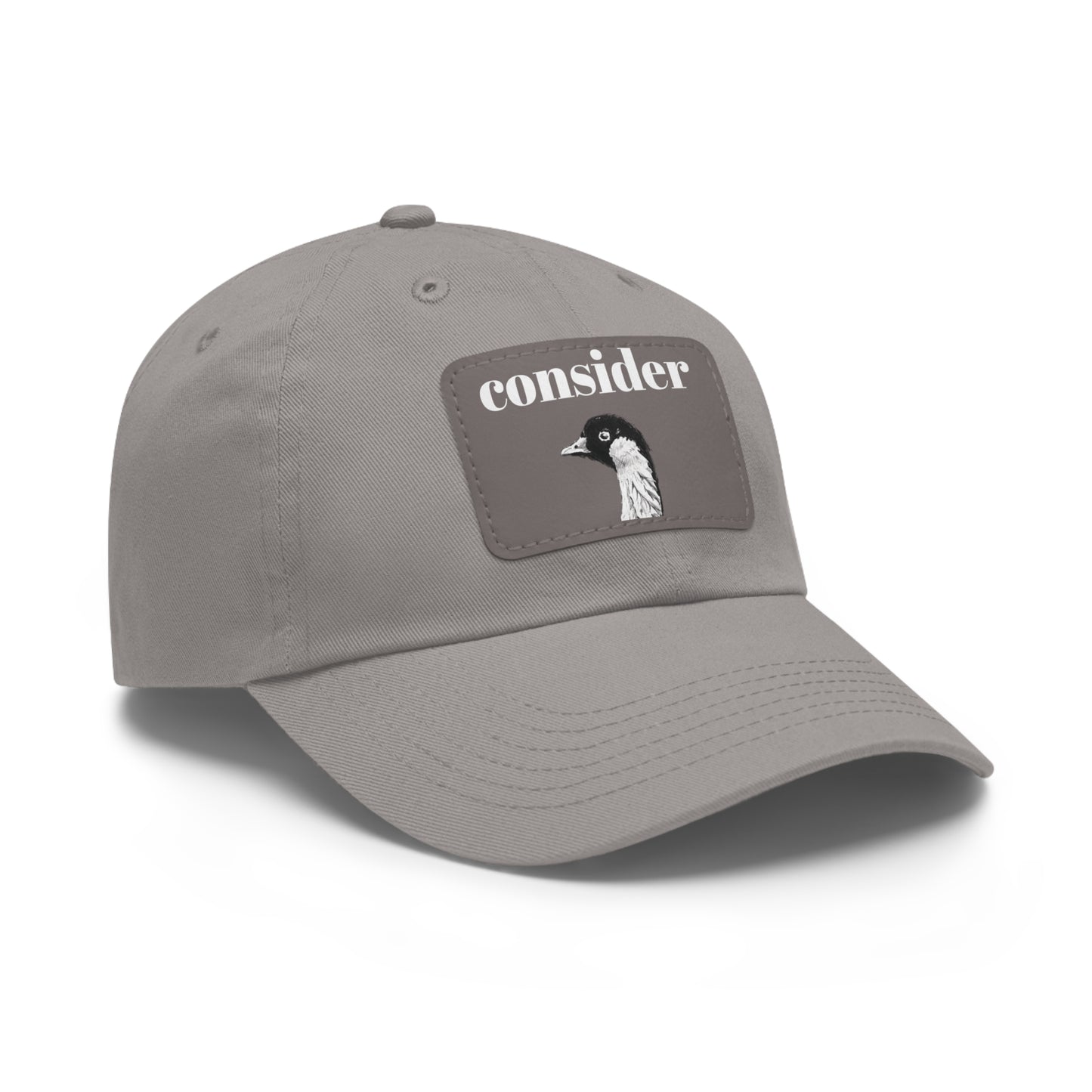 Consider the Birds Dad Hat with Leather Patch - Casual Stylish Cap for Nature Lovers