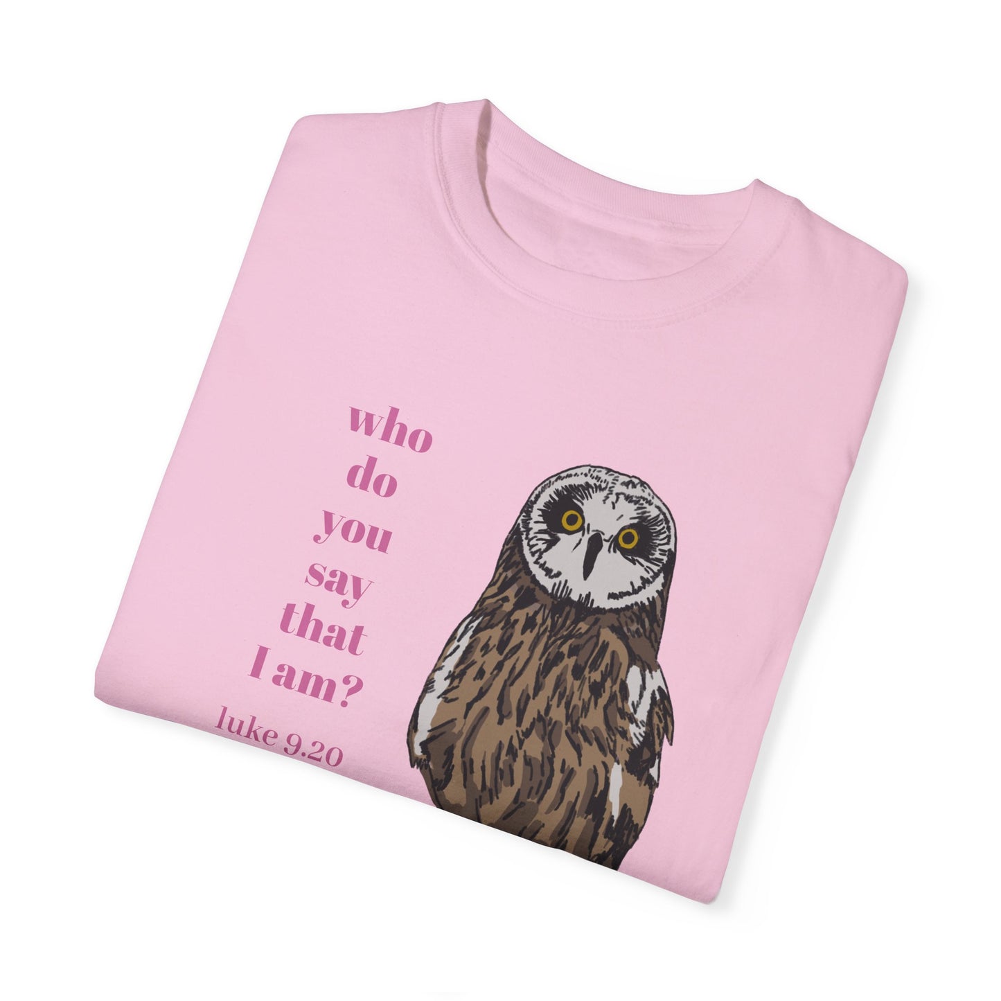 Pueo Who Do You Say That I Am - Owl T-shirt, Hawaiian Barn Owl Bird, Christian Faith Gift, Vintage Style Top, Religious Graphic Apparel