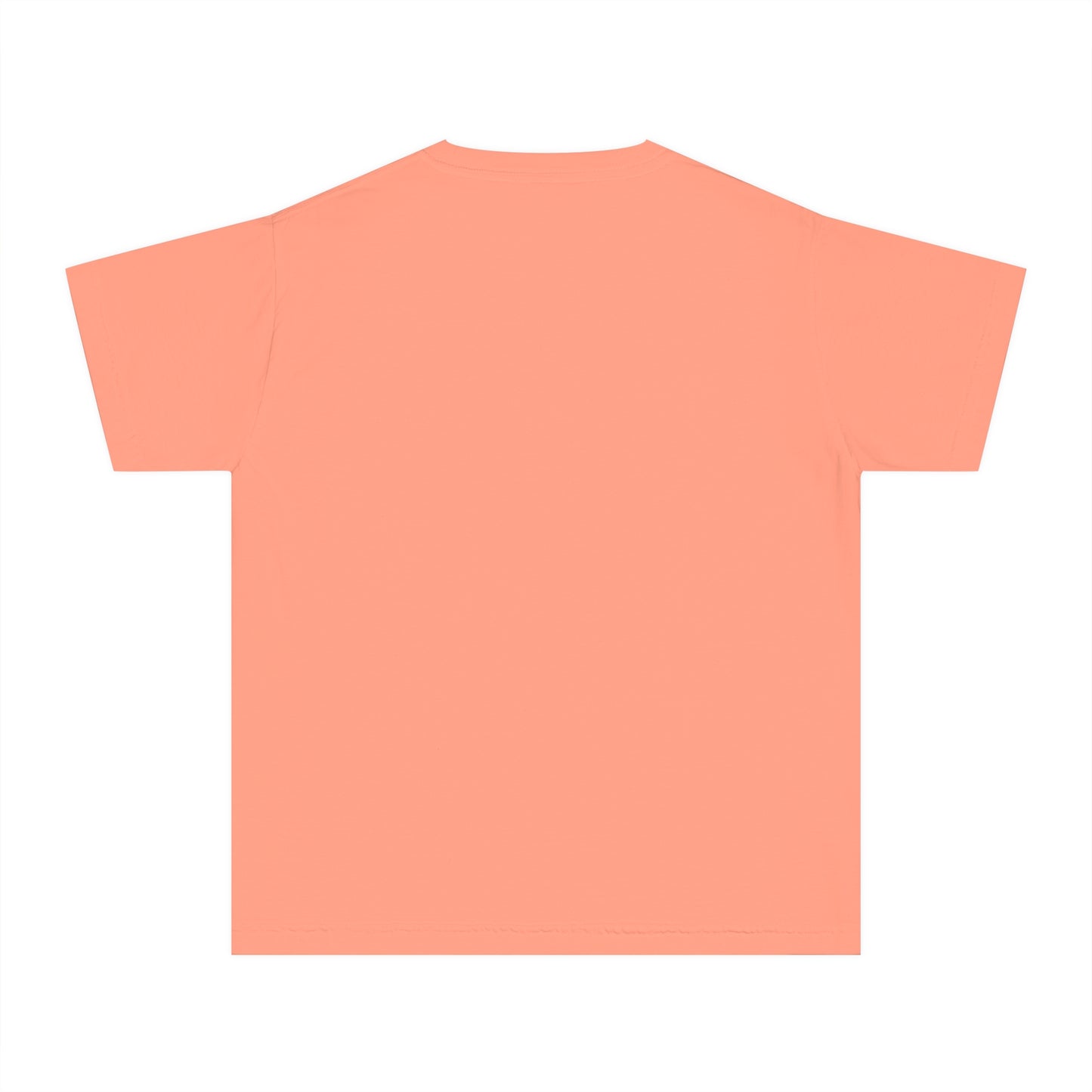 Youth Midweight Tee - 'Consider the Birds'