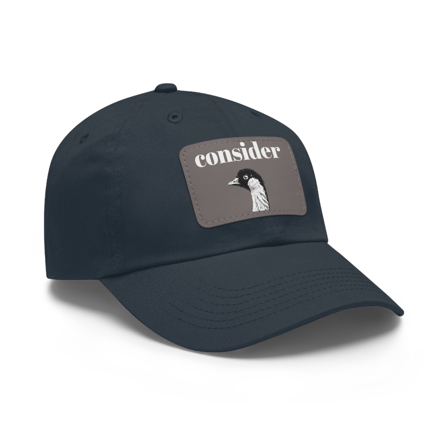 Consider the Birds Dad Hat with Leather Patch - Casual Stylish Cap for Nature Lovers