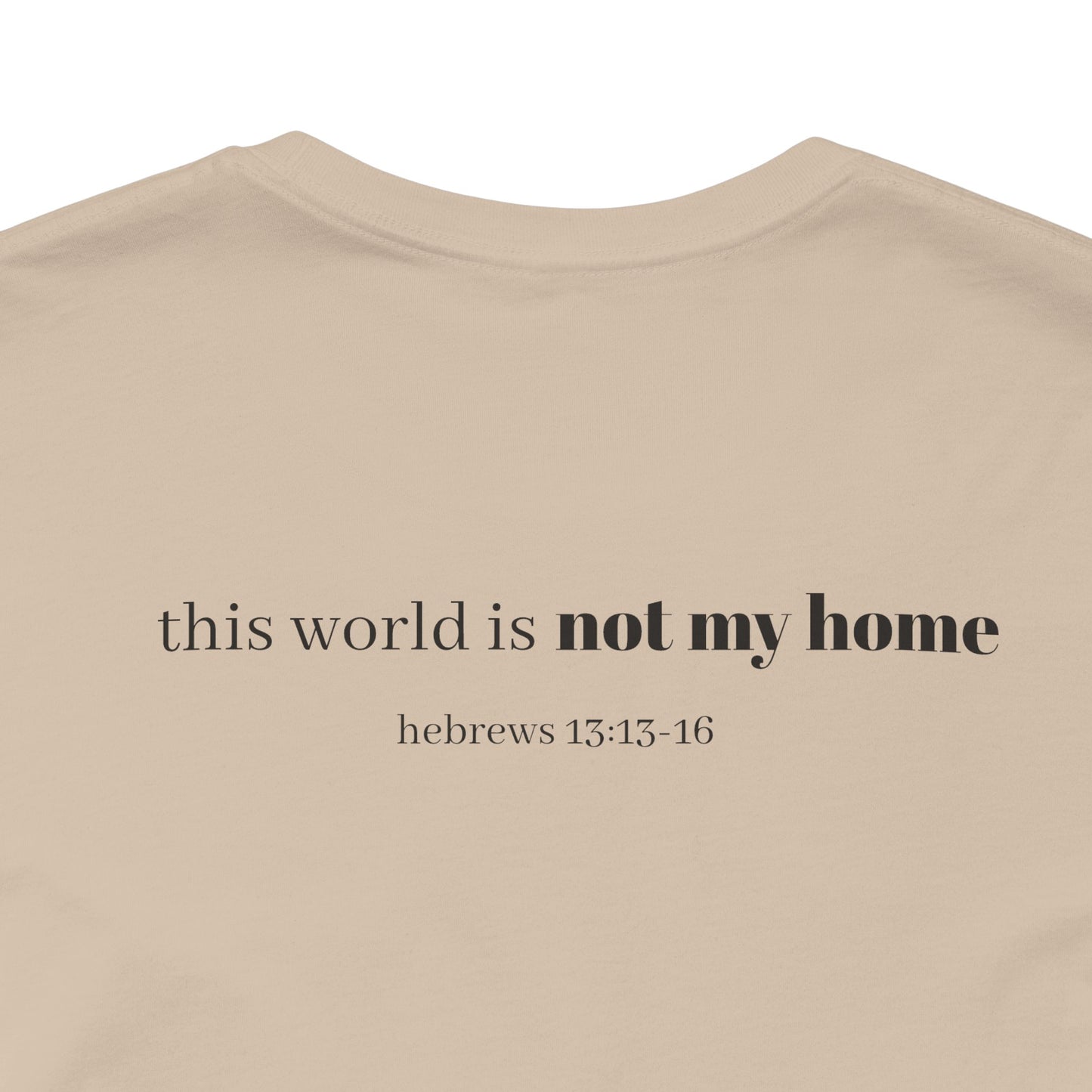 Hebrews 13:13-16 'This World Is Not My Home' T-Shirt