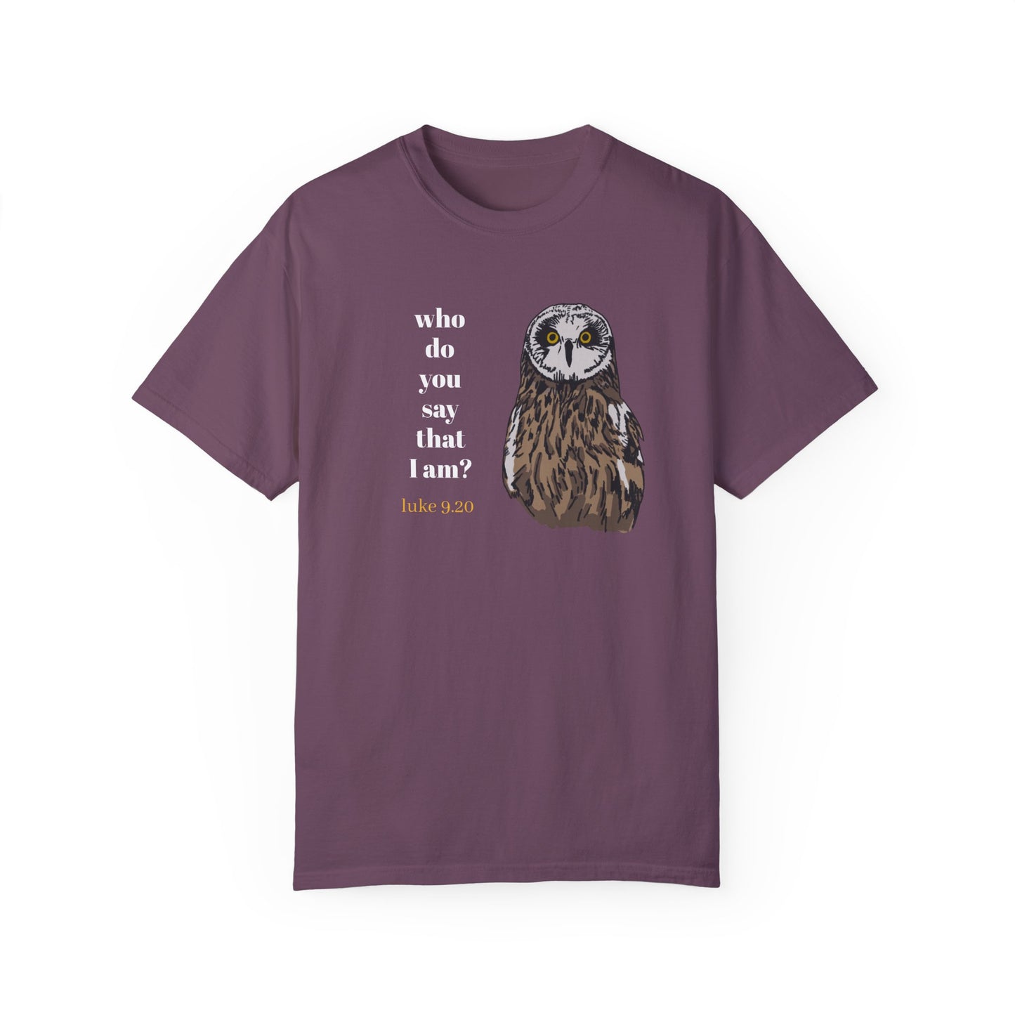 Pueo Who Do You Say That I Am - Owl T-shirt, Hawaiian Barn Owl Bird, Christian Faith Gift, Vintage Style Top, Religious Graphic Apparel