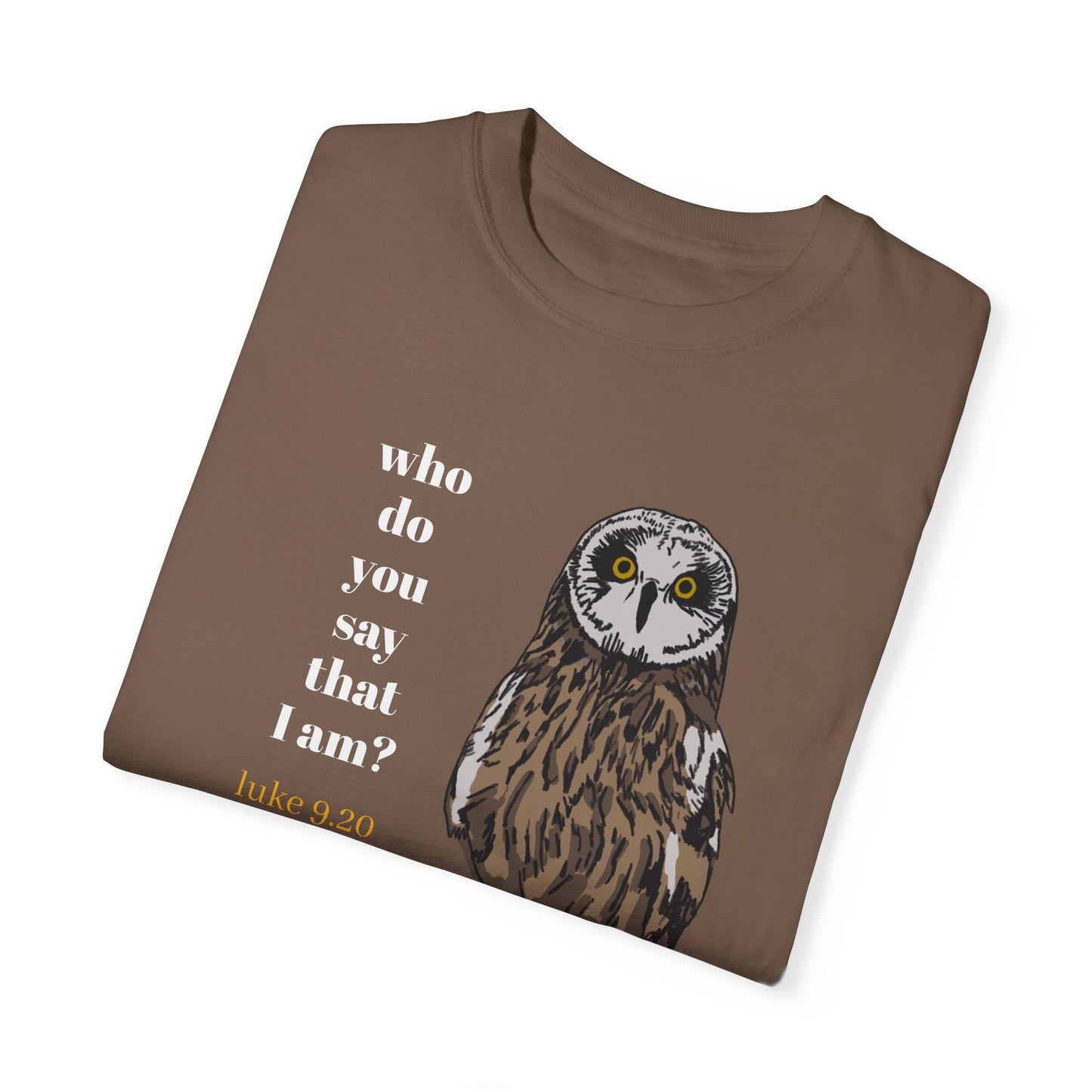 Pueo Who Do You Say That I Am - Owl T-shirt, Hawaiian Barn Owl Bird, Christian Faith Gift, Vintage Style Top, Religious Graphic Apparel