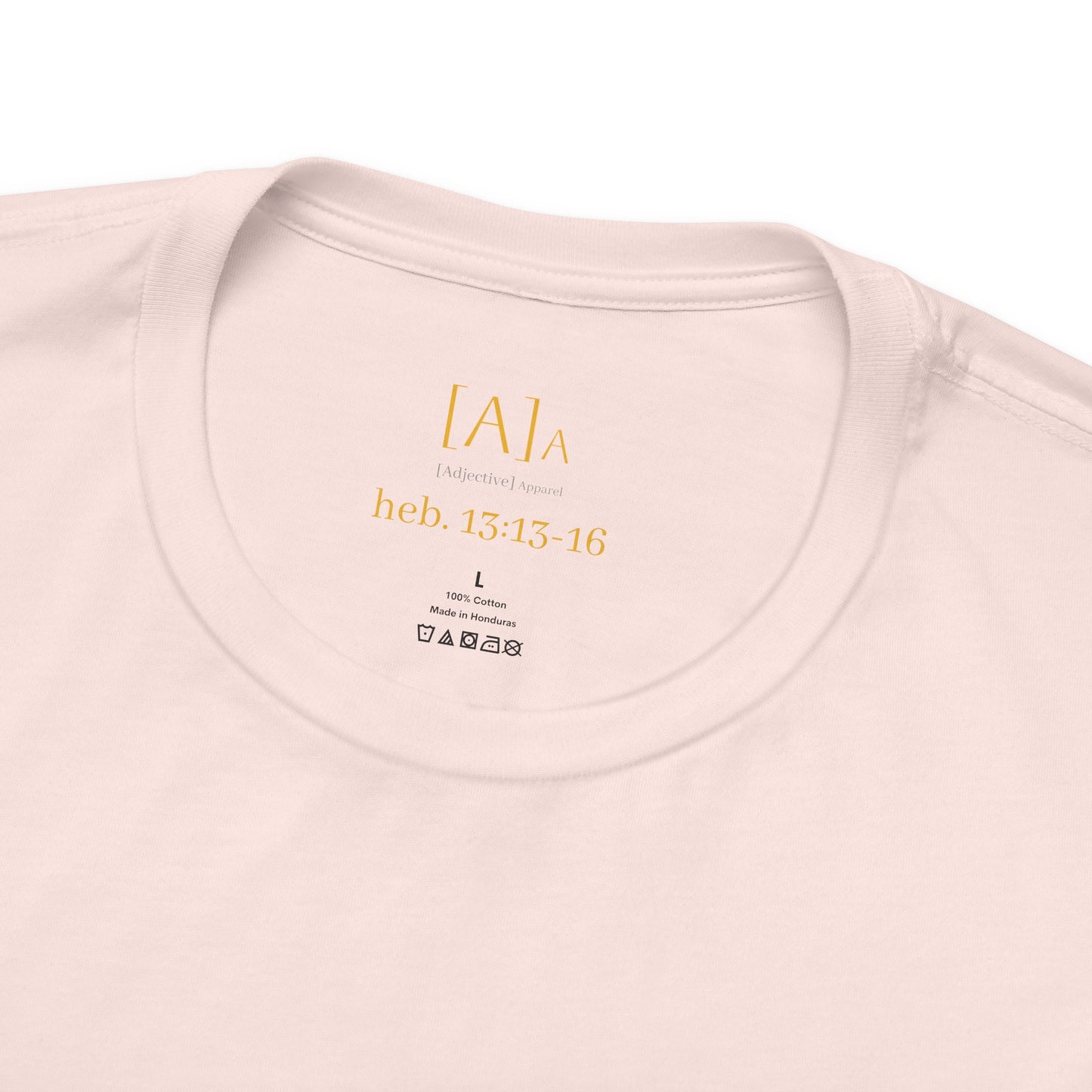 Hebrews 13:13-16 'This World Is Not My Home' T-Shirt