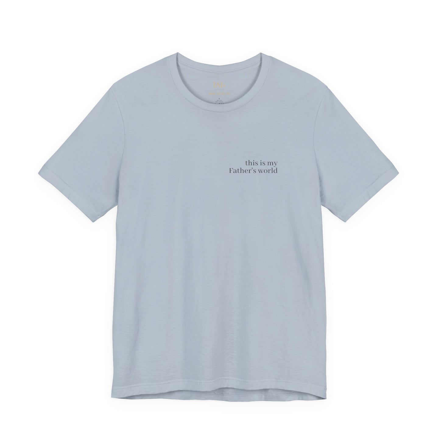 Hebrews 13:13-16 'This World Is Not My Home' T-Shirt