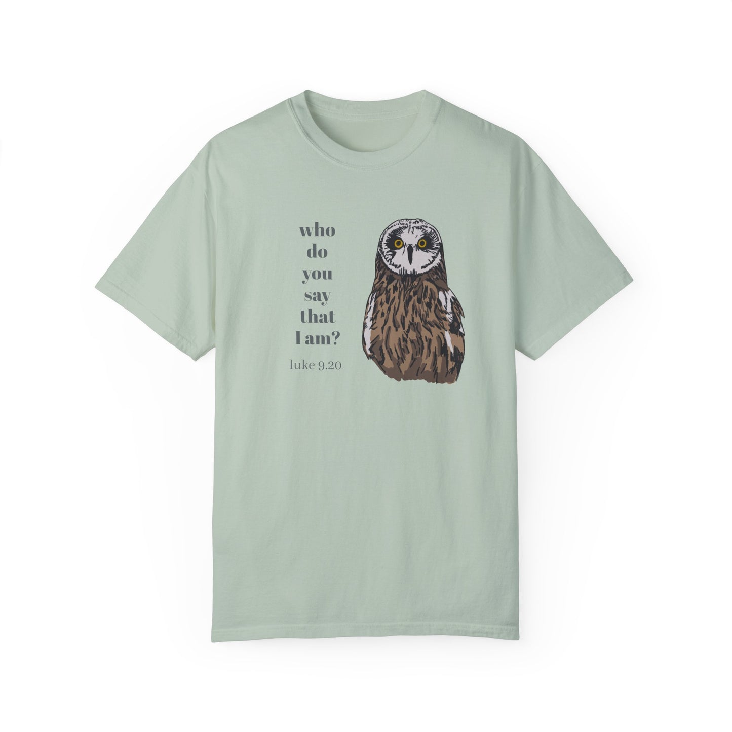 Pueo Who Do You Say That I Am - Owl T-shirt, Hawaiian Barn Owl Bird, Christian Faith Gift, Vintage Style Top, Religious Graphic Apparel