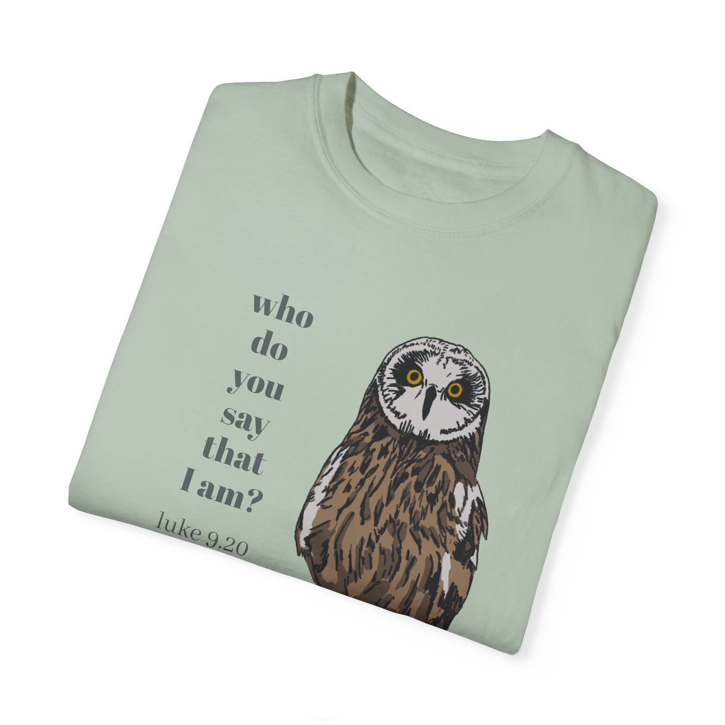 Pueo Who Do You Say That I Am - Owl T-shirt, Hawaiian Barn Owl Bird, Christian Faith Gift, Vintage Style Top, Religious Graphic Apparel