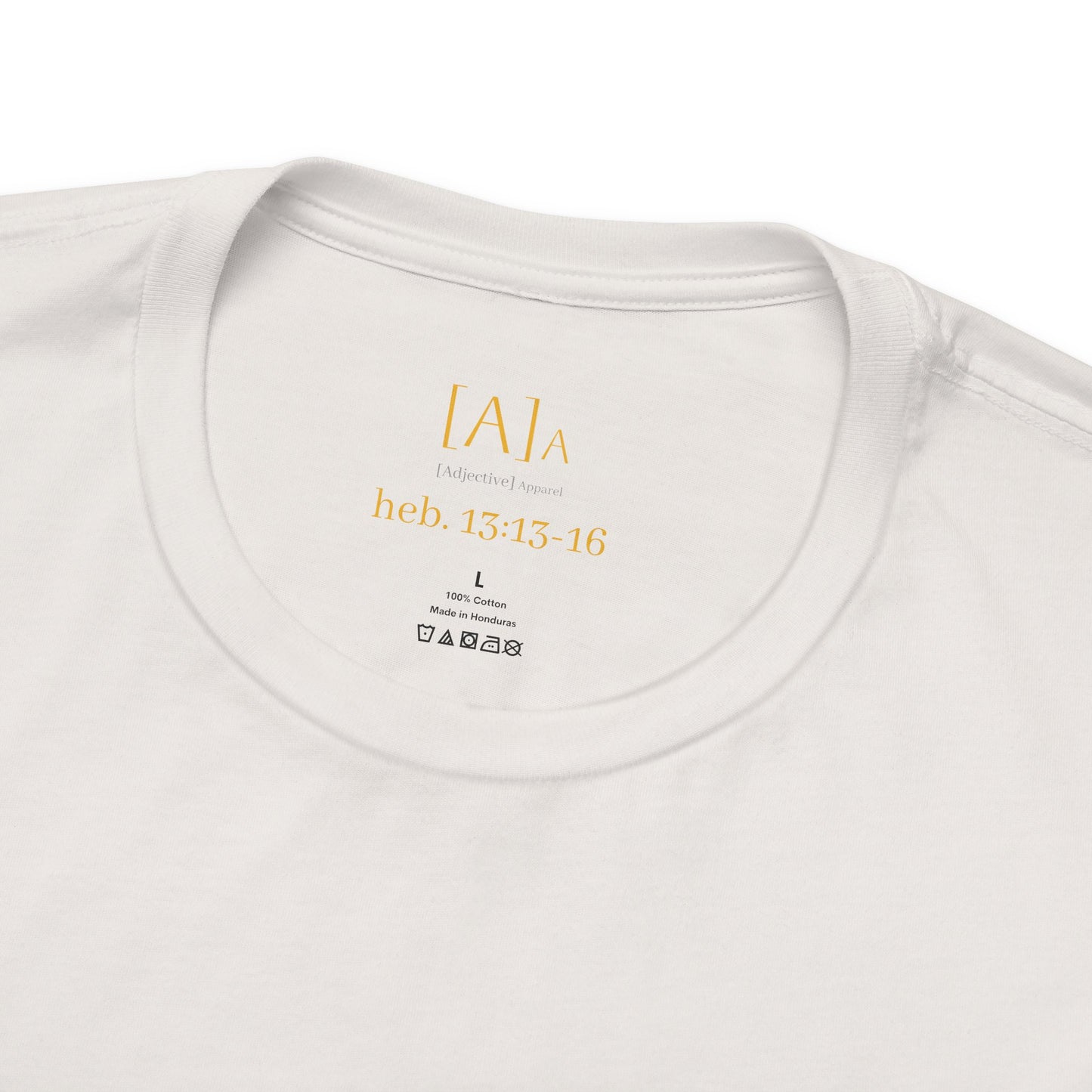 Hebrews 13:13-16 'This World Is Not My Home' T-Shirt