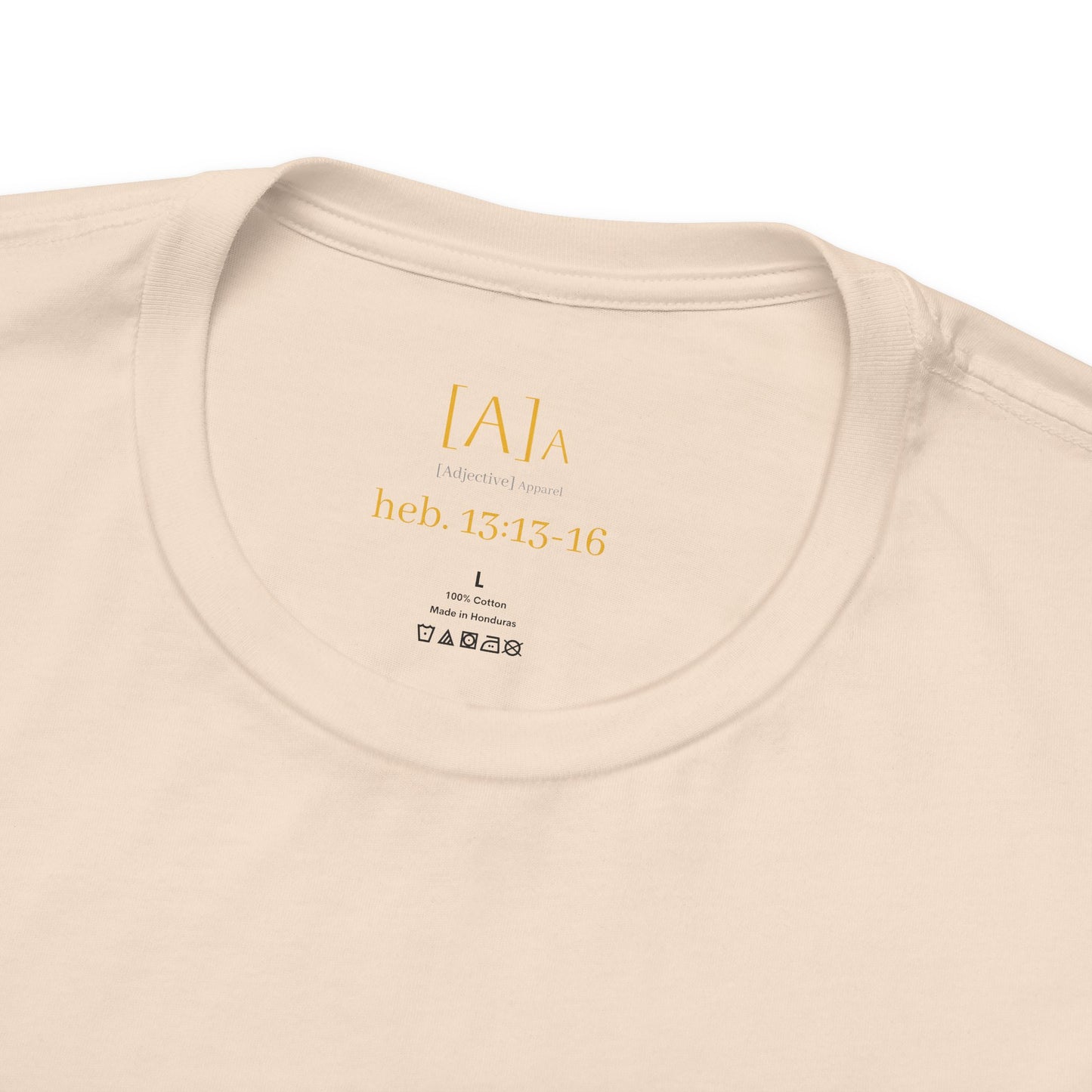 Hebrews 13:13-16 'This World Is Not My Home' T-Shirt