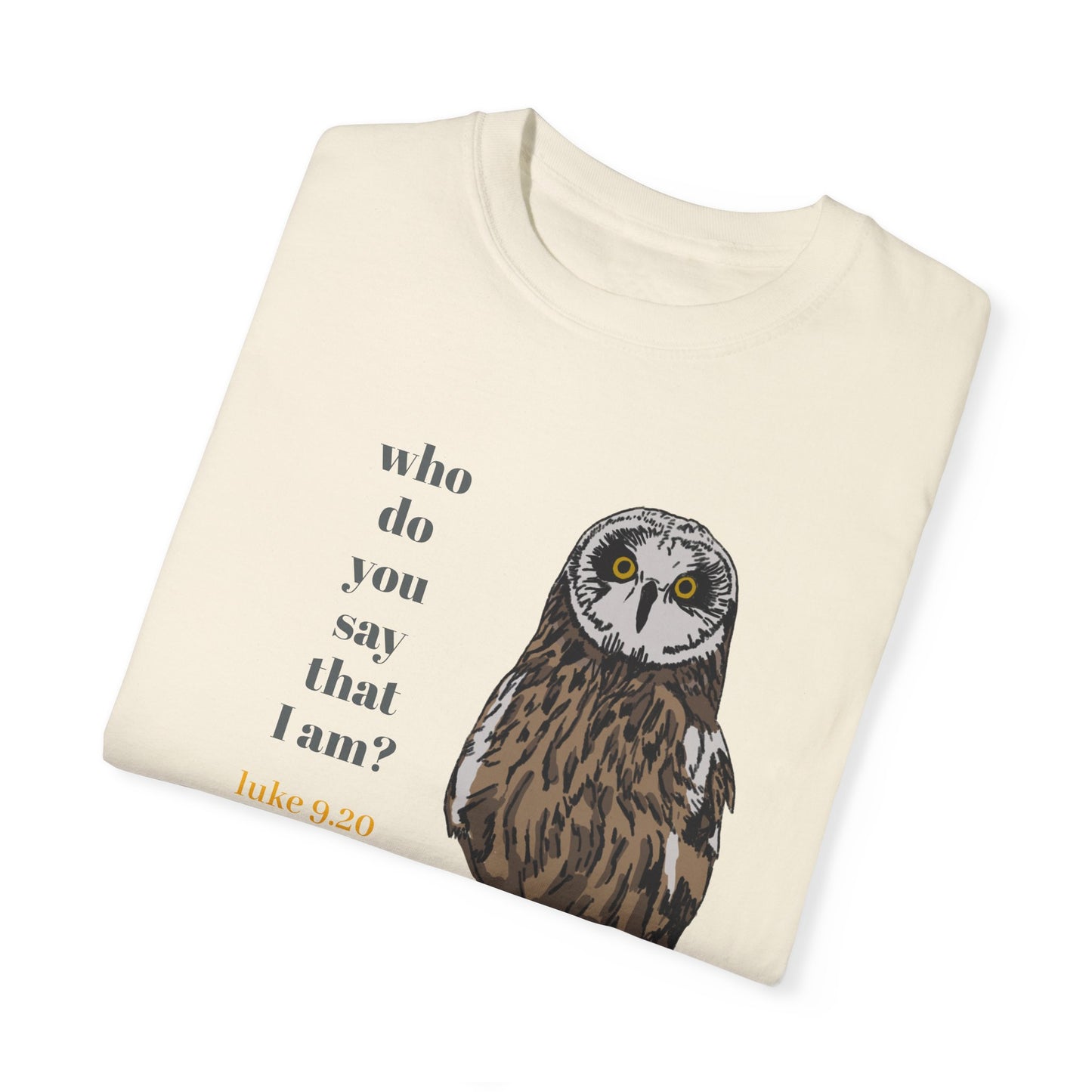 Pueo Who Do You Say That I Am - Owl T-shirt, Hawaiian Barn Owl Bird, Christian Faith Gift, Vintage Style Top, Religious Graphic Apparel