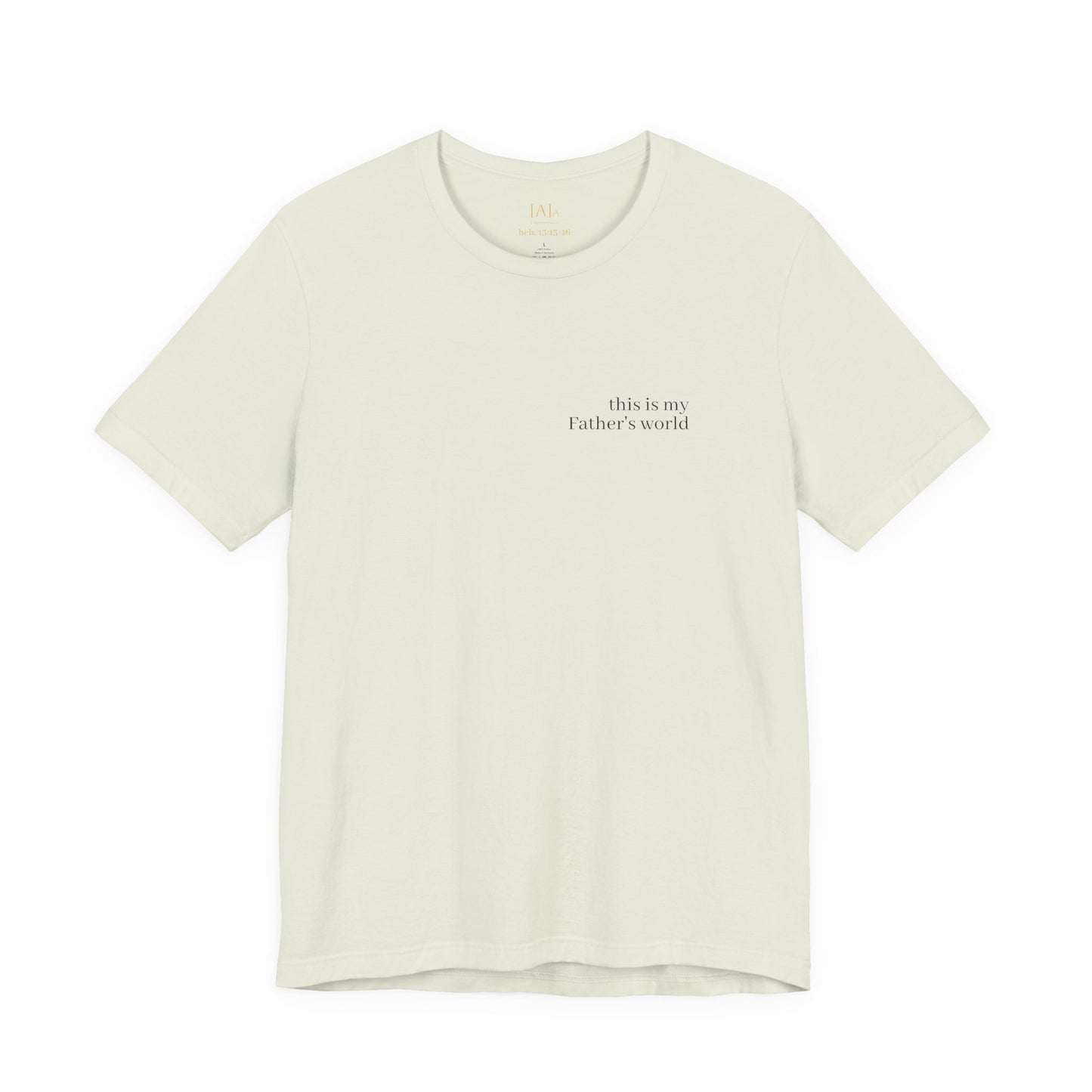 Hebrews 13:13-16 'This World Is Not My Home' T-Shirt