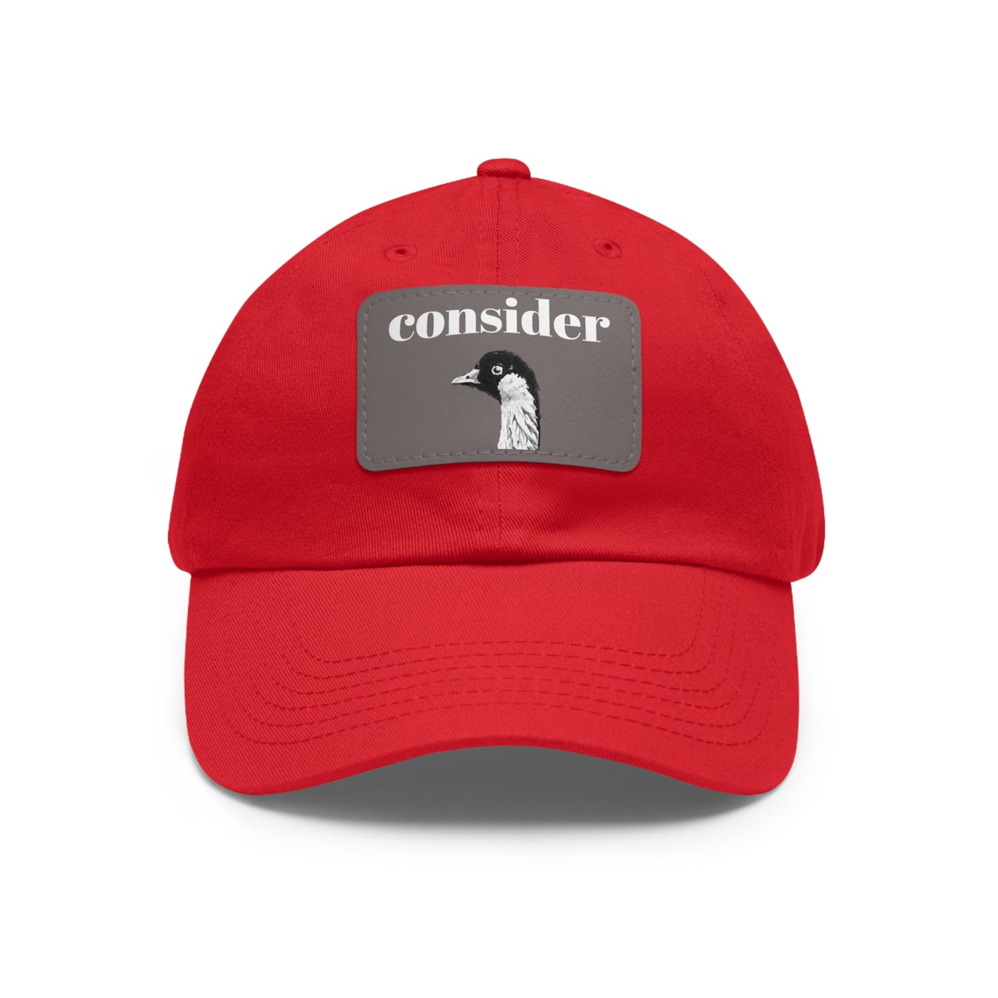 Consider the Birds Dad Hat with Leather Patch - Casual Stylish Cap for Nature Lovers