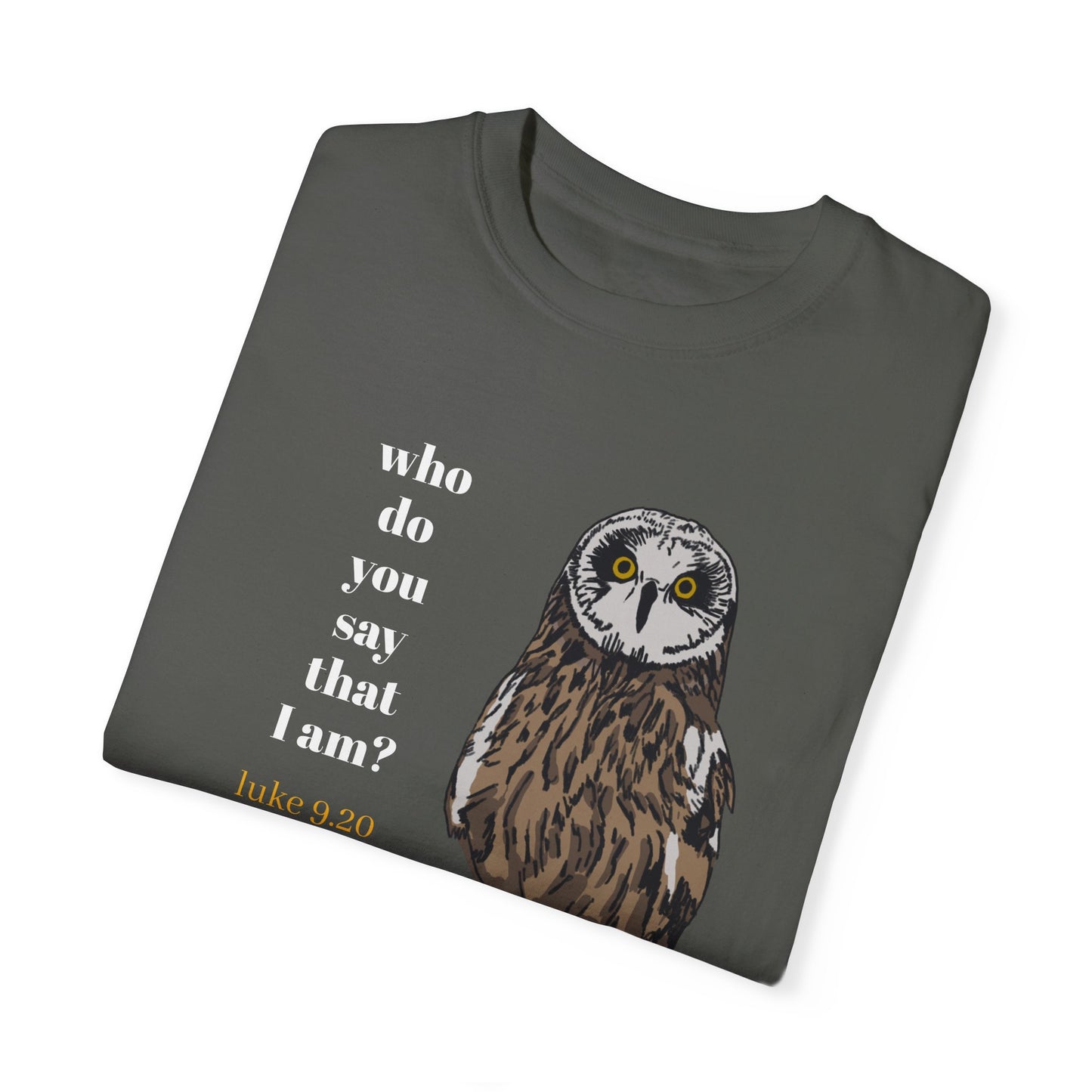 Pueo Who Do You Say That I Am - Owl T-shirt, Hawaiian Barn Owl Bird, Christian Faith Gift, Vintage Style Top, Religious Graphic Apparel