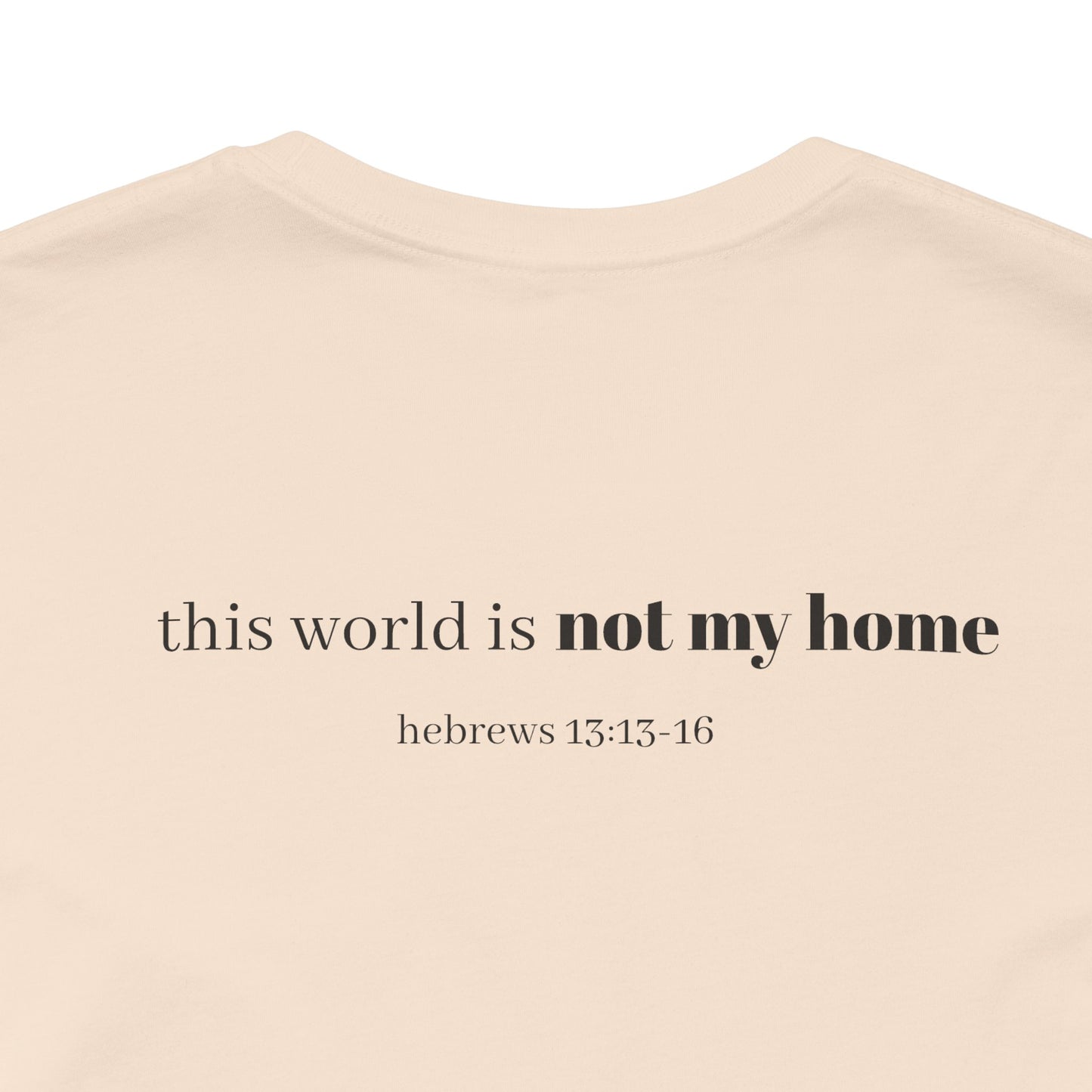 Hebrews 13:13-16 'This World Is Not My Home' T-Shirt