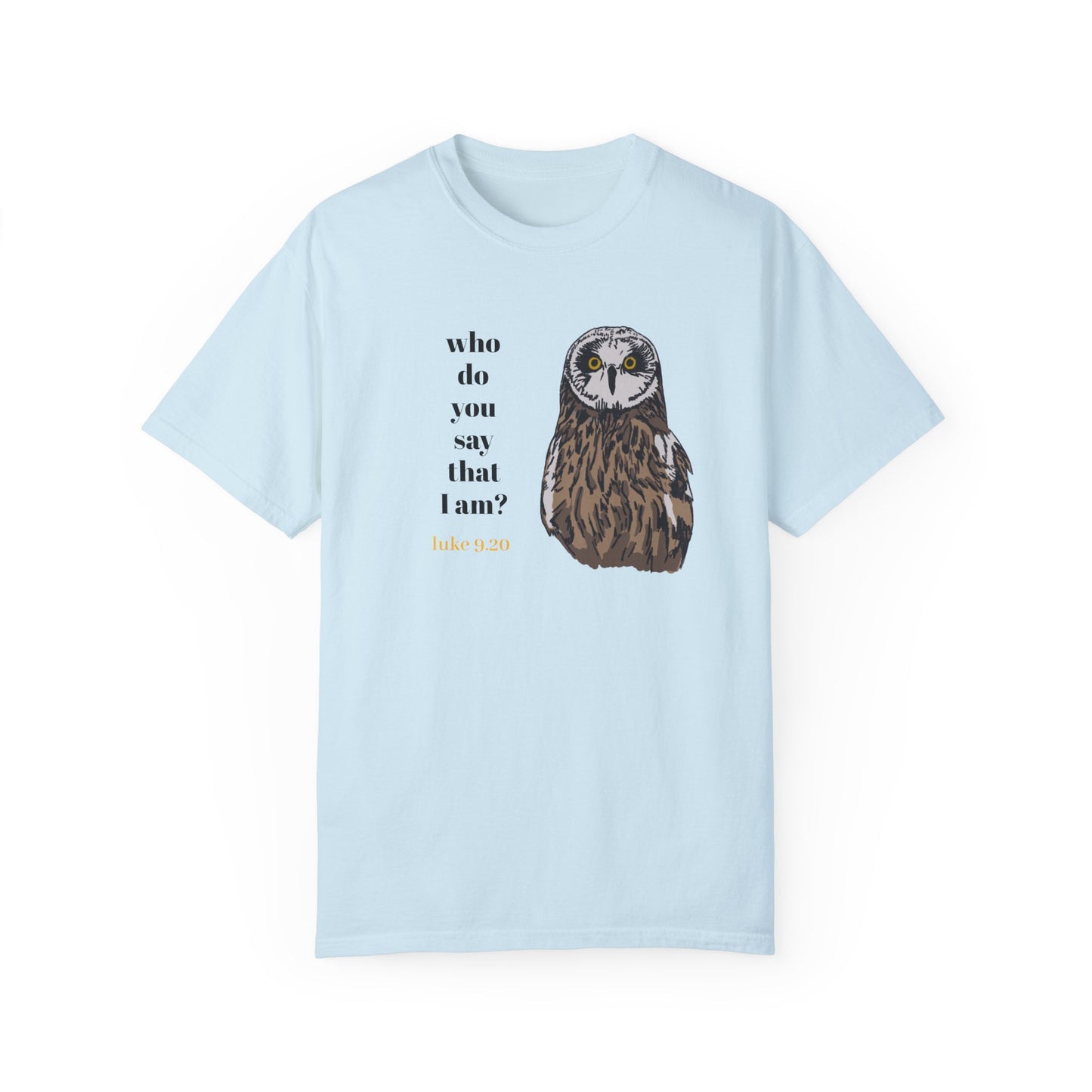 Pueo Who Do You Say That I Am - Owl T-shirt, Hawaiian Barn Owl Bird, Christian Faith Gift, Vintage Style Top, Religious Graphic Apparel