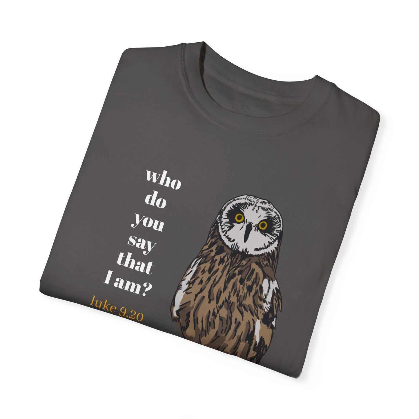 Pueo Who Do You Say That I Am - Owl T-shirt, Hawaiian Barn Owl Bird, Christian Faith Gift, Vintage Style Top, Religious Graphic Apparel