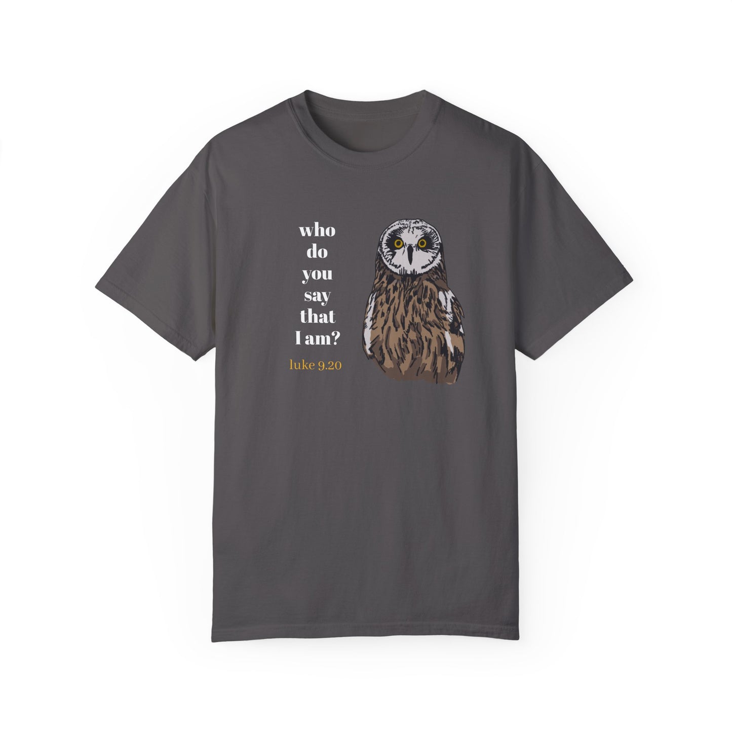 Pueo Who Do You Say That I Am - Owl T-shirt, Hawaiian Barn Owl Bird, Christian Faith Gift, Vintage Style Top, Religious Graphic Apparel