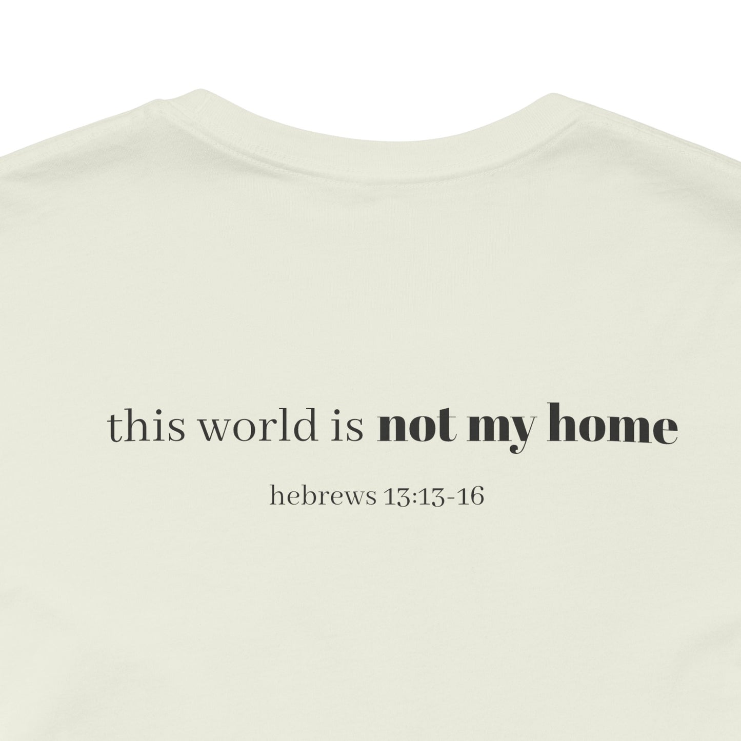 Hebrews 13:13-16 'This World Is Not My Home' T-Shirt