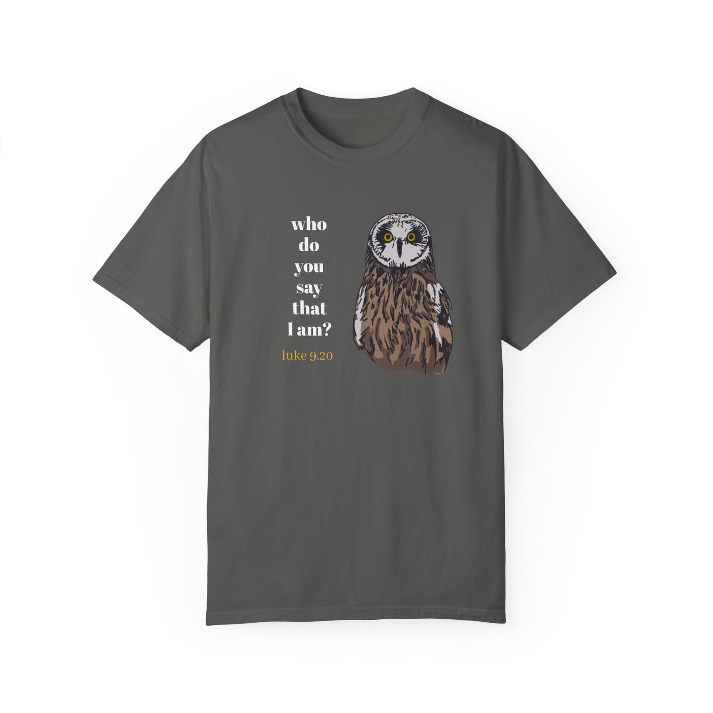Pueo Who Do You Say That I Am - Owl T-shirt, Hawaiian Barn Owl Bird, Christian Faith Gift, Vintage Style Top, Religious Graphic Apparel
