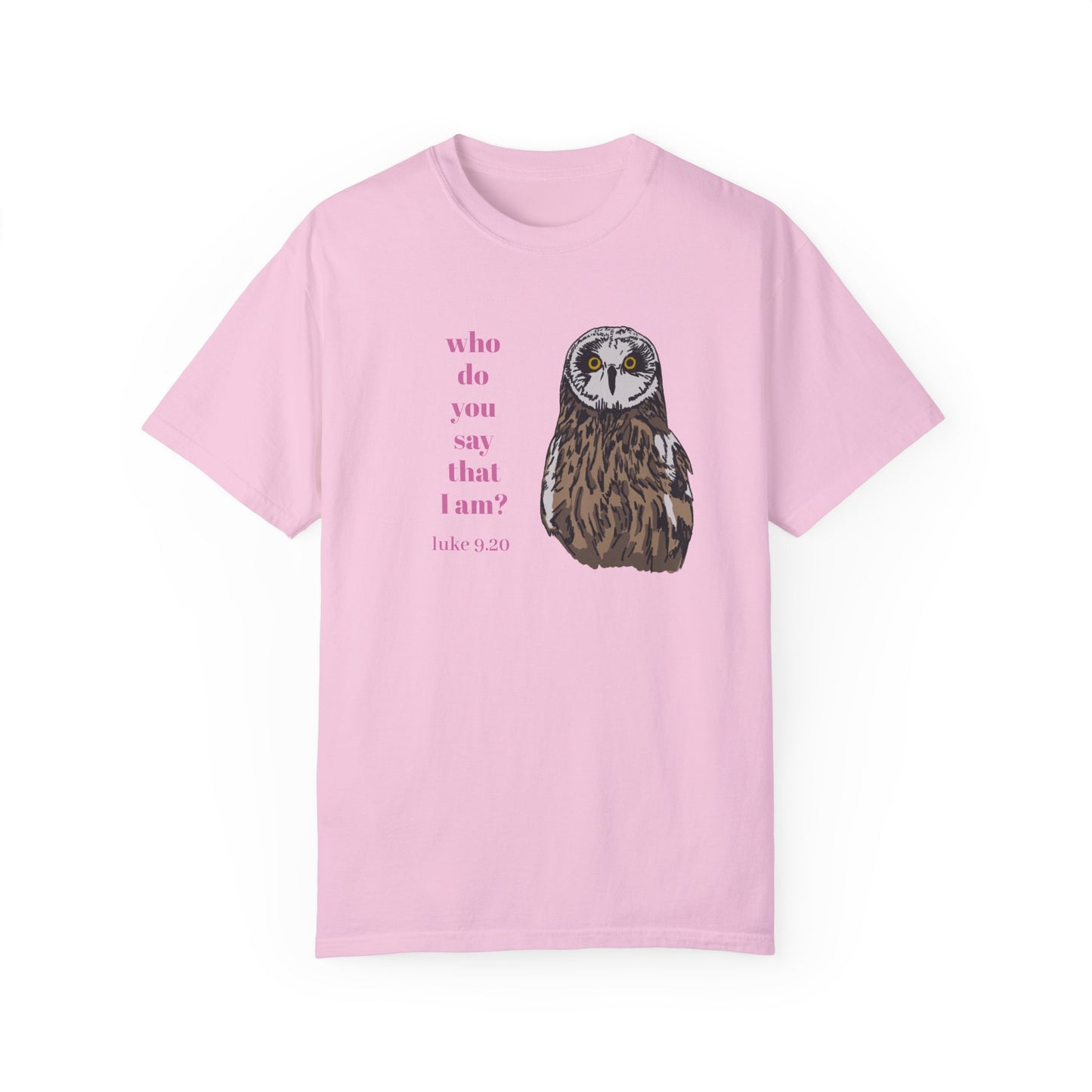Pueo Who Do You Say That I Am - Owl T-shirt, Hawaiian Barn Owl Bird, Christian Faith Gift, Vintage Style Top, Religious Graphic Apparel