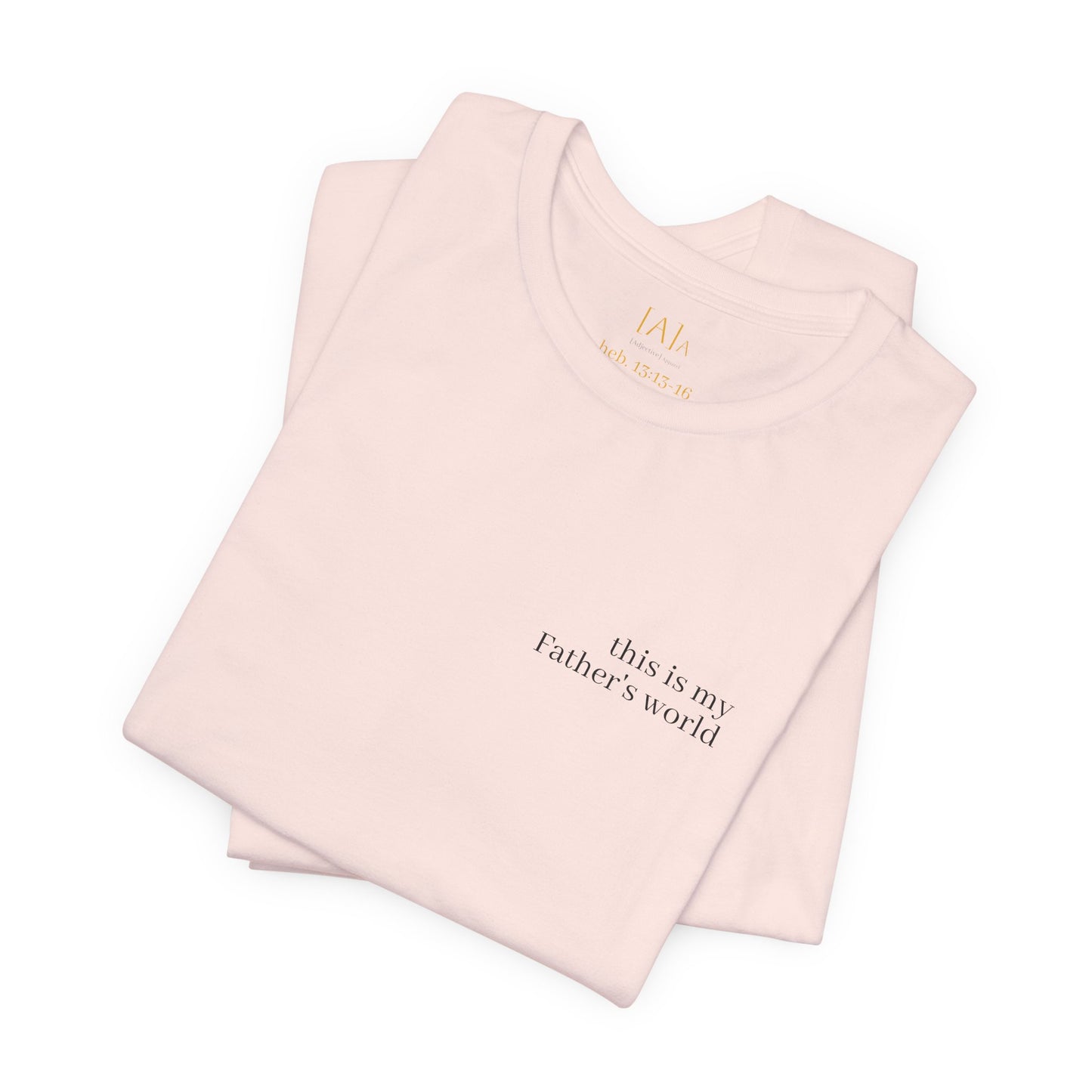 Hebrews 13:13-16 'This World Is Not My Home' T-Shirt