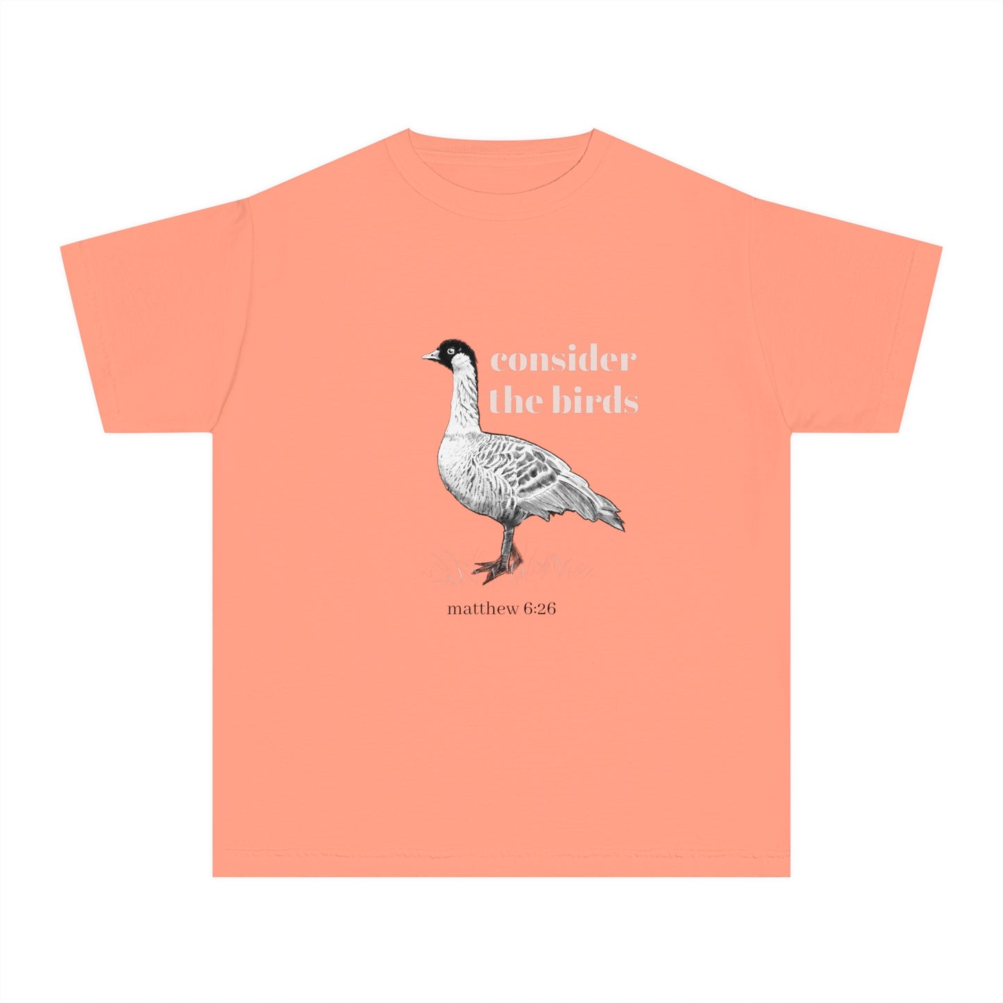 Youth Midweight Tee - 'Consider the Birds'