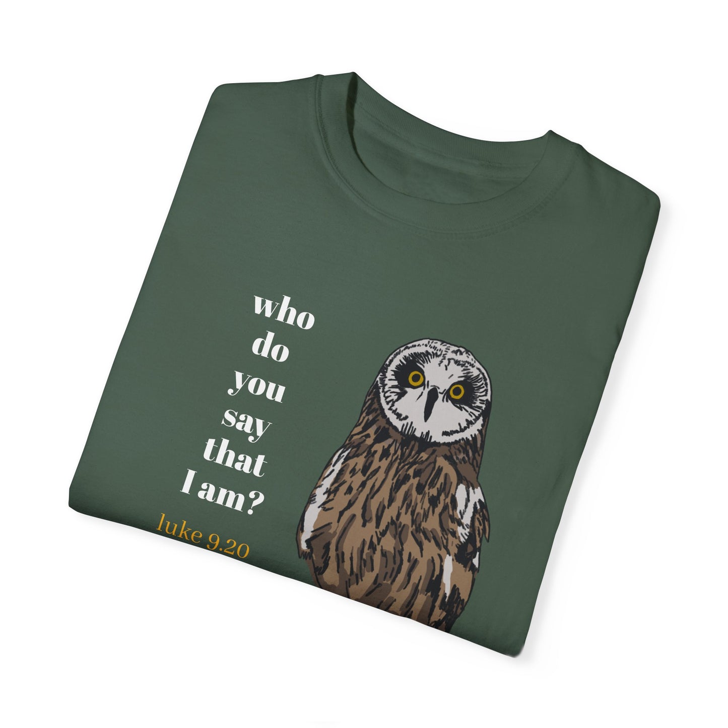 Pueo Who Do You Say That I Am - Owl T-shirt, Hawaiian Barn Owl Bird, Christian Faith Gift, Vintage Style Top, Religious Graphic Apparel