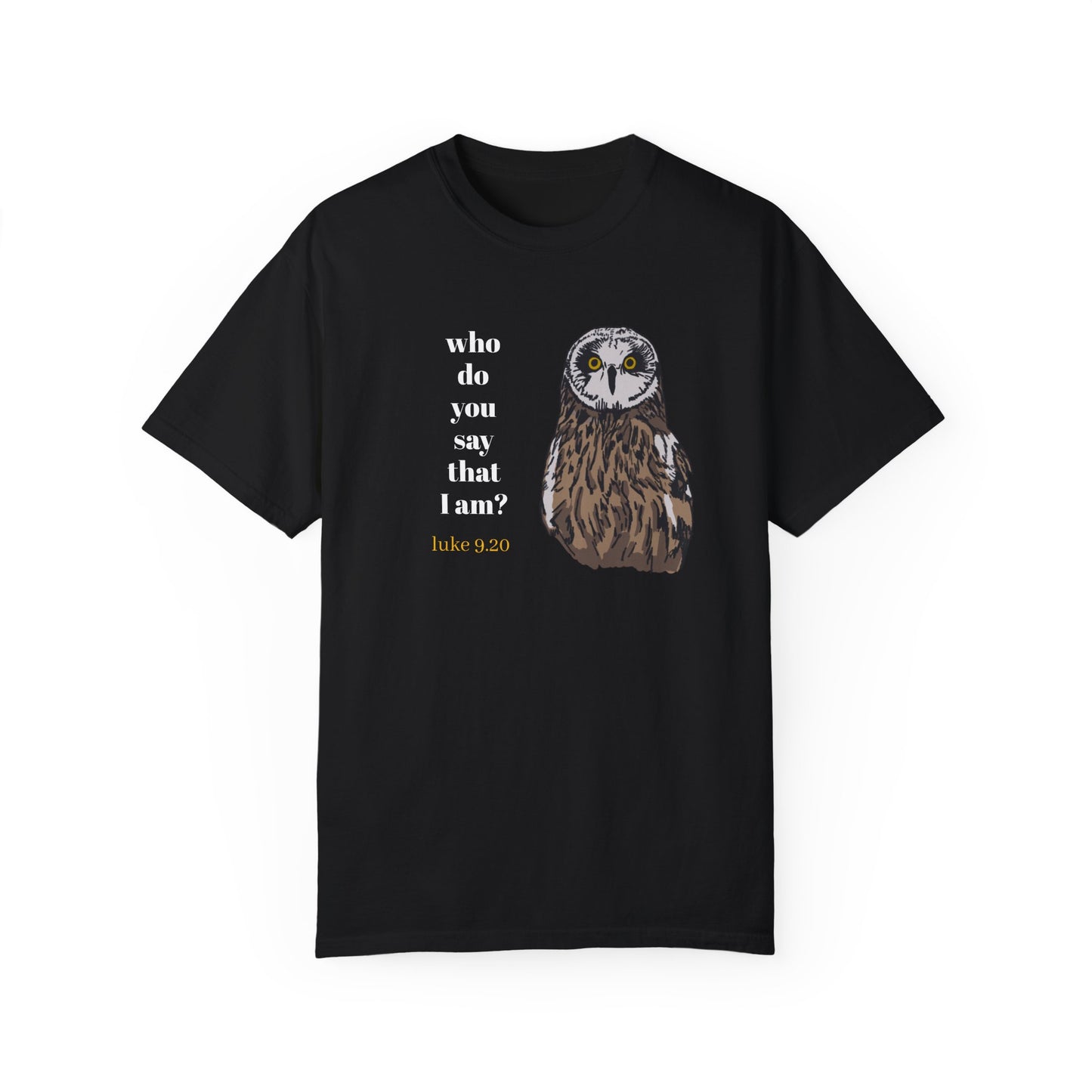 Pueo Who Do You Say That I Am - Owl T-shirt, Hawaiian Barn Owl Bird, Christian Faith Gift, Vintage Style Top, Religious Graphic Apparel