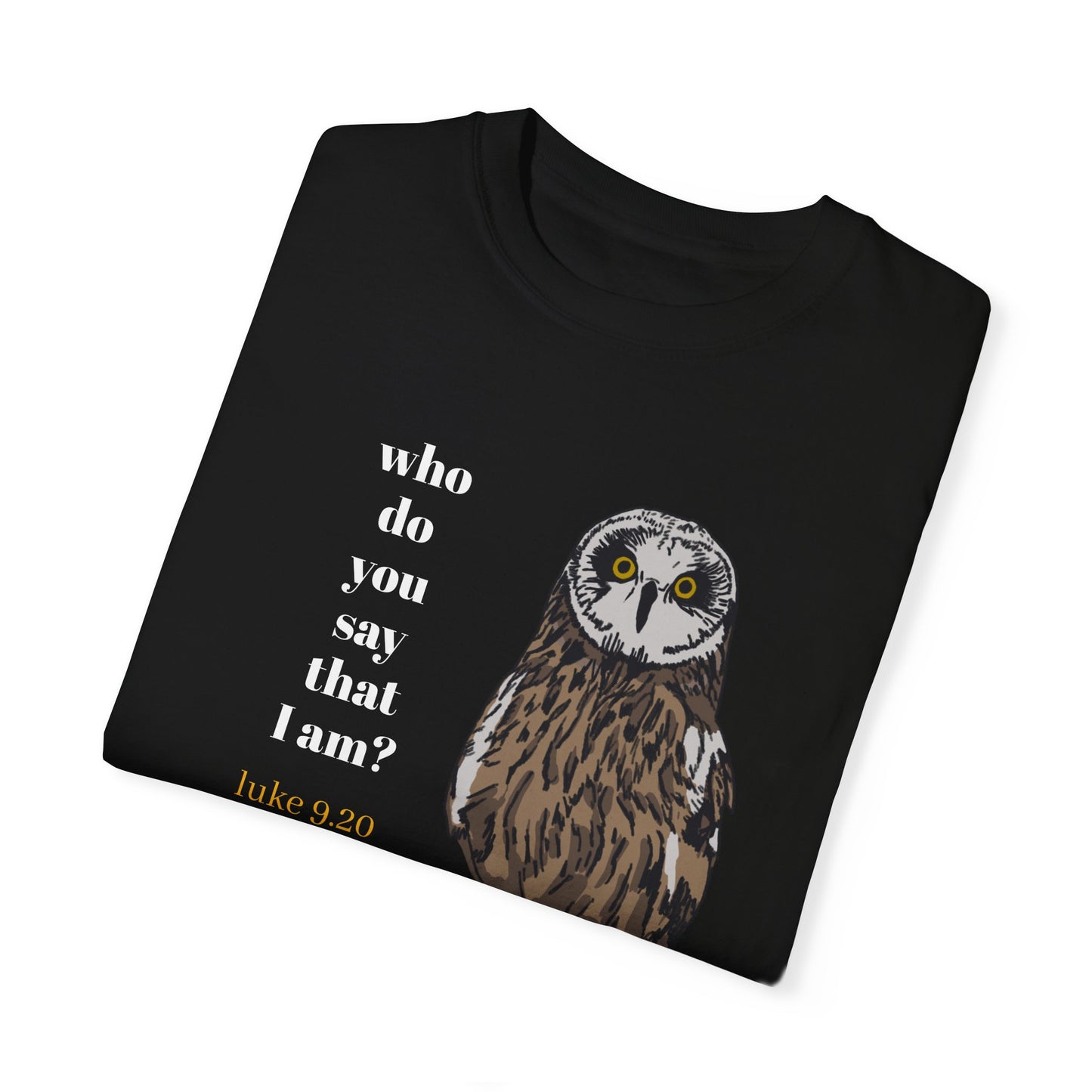 Pueo Who Do You Say That I Am - Owl T-shirt, Hawaiian Barn Owl Bird, Christian Faith Gift, Vintage Style Top, Religious Graphic Apparel