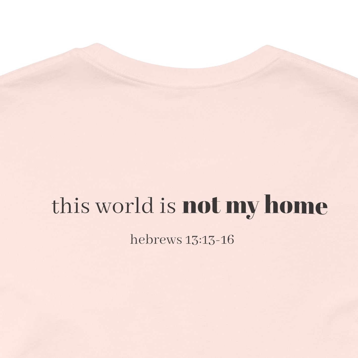 Hebrews 13:13-16 'This World Is Not My Home' T-Shirt