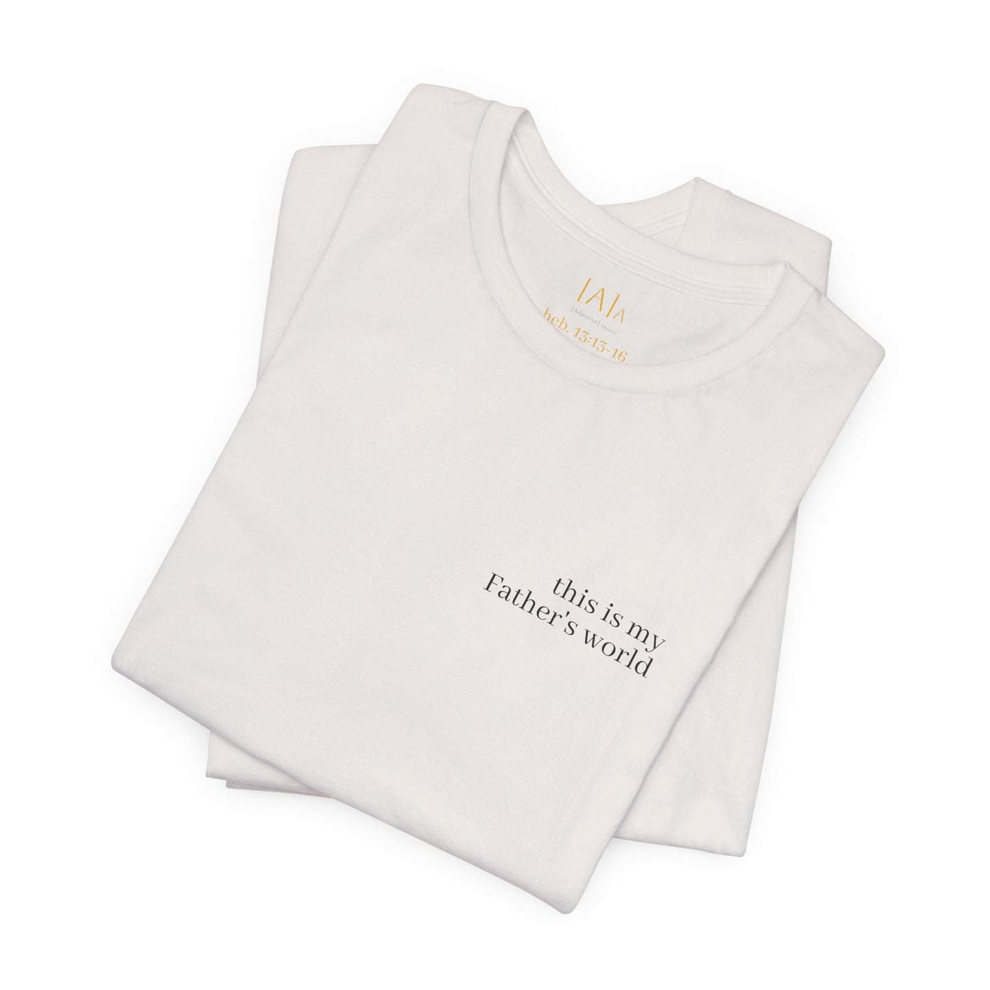 Hebrews 13:13-16 'This World Is Not My Home' T-Shirt