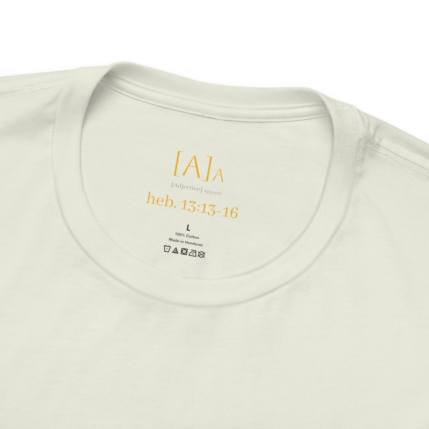 Hebrews 13:13-16 'This World Is Not My Home' T-Shirt