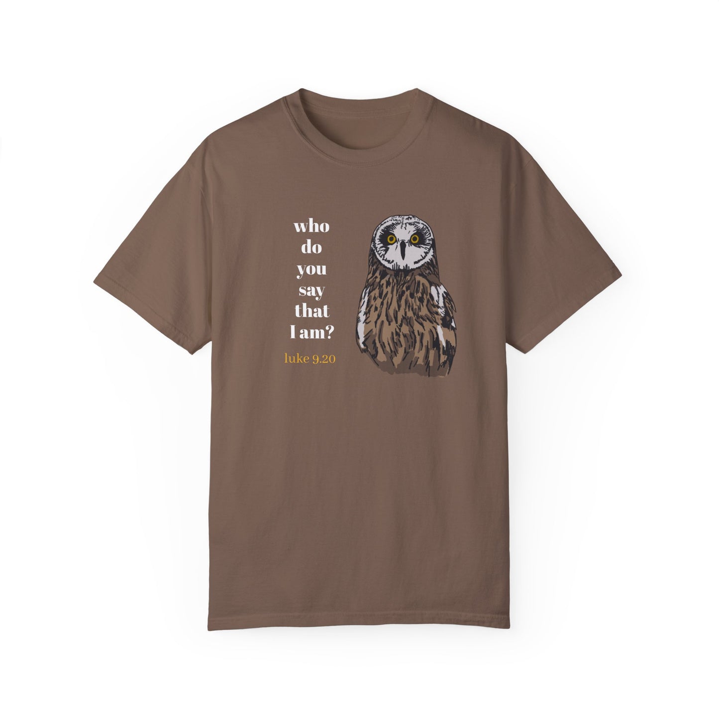 Pueo Who Do You Say That I Am - Owl T-shirt, Hawaiian Barn Owl Bird, Christian Faith Gift, Vintage Style Top, Religious Graphic Apparel
