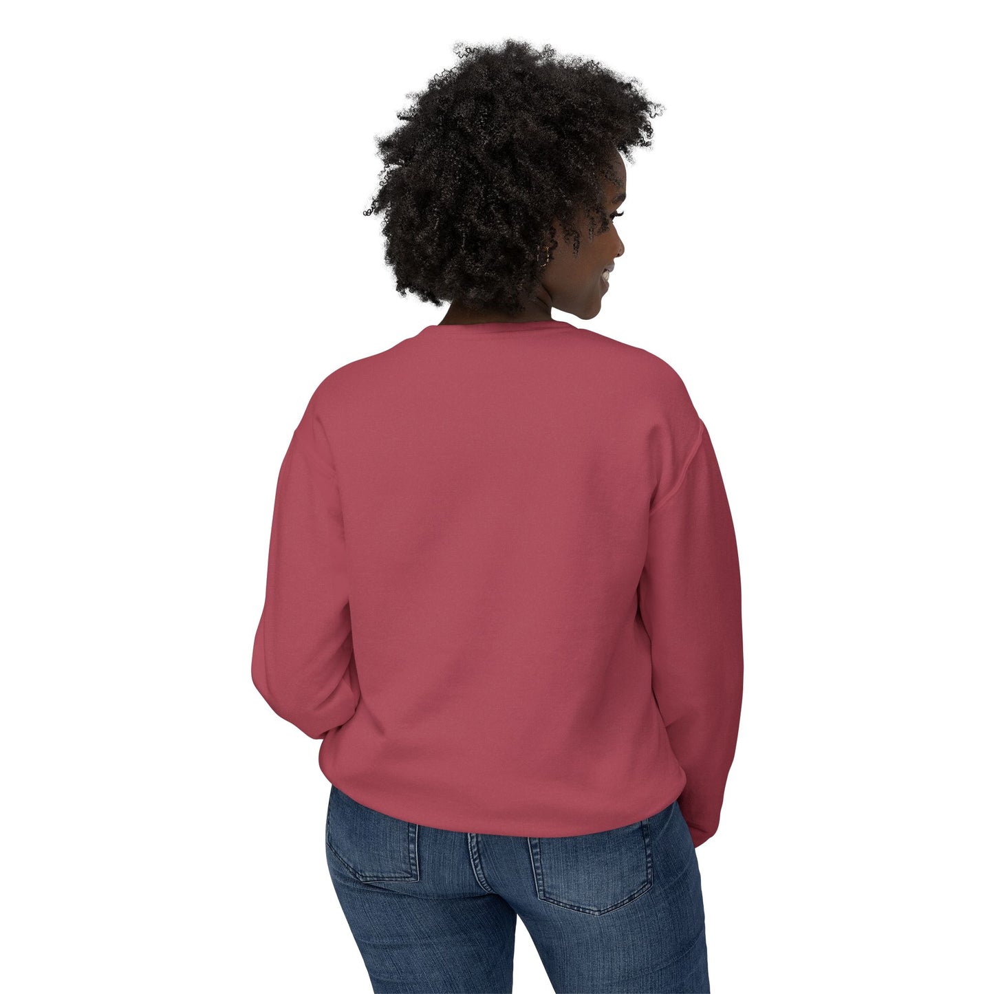 Consider the Birds Lightweight Sweatshirt - Nene Hawaiian Goose Bird Matthew 6 Sermon on the Mount Unisex Crewneck, Christian Gift, Nature