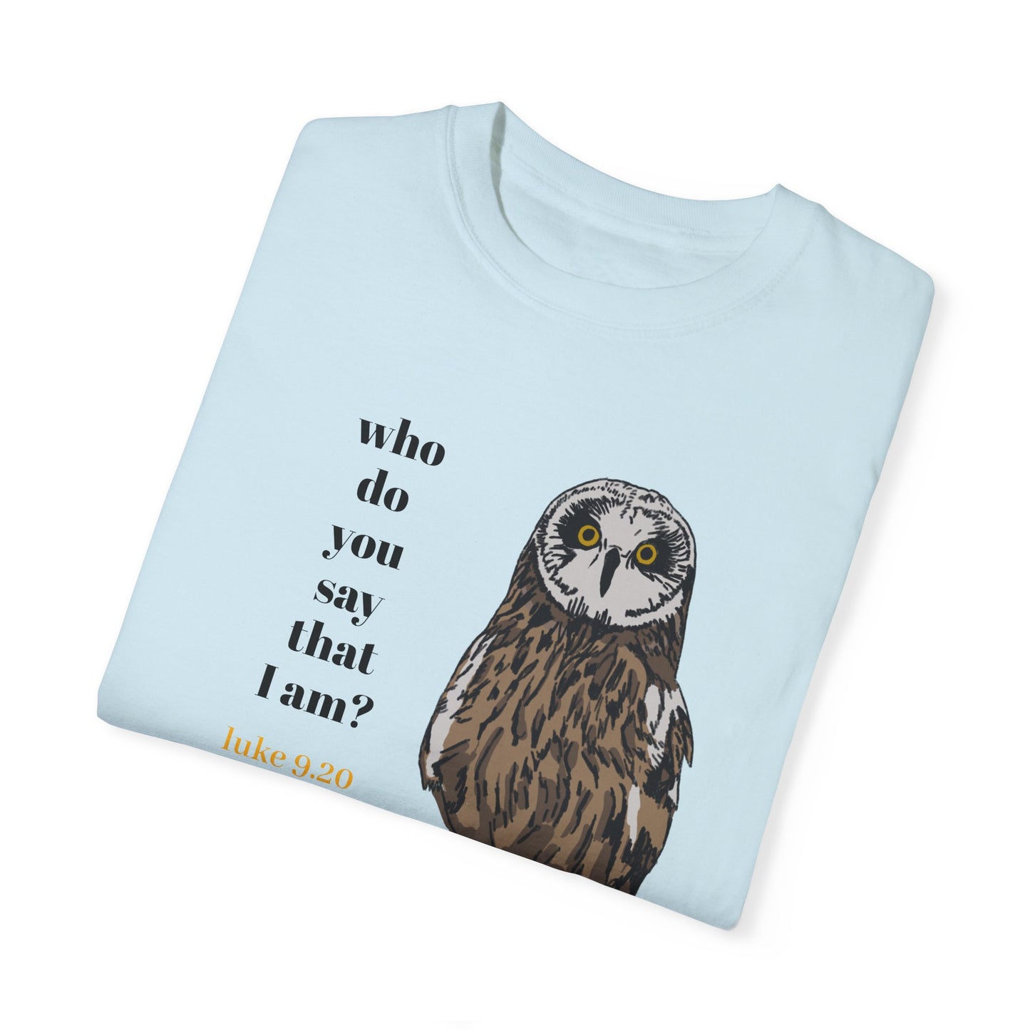 Pueo Who Do You Say That I Am - Owl T-shirt, Hawaiian Barn Owl Bird, Christian Faith Gift, Vintage Style Top, Religious Graphic Apparel