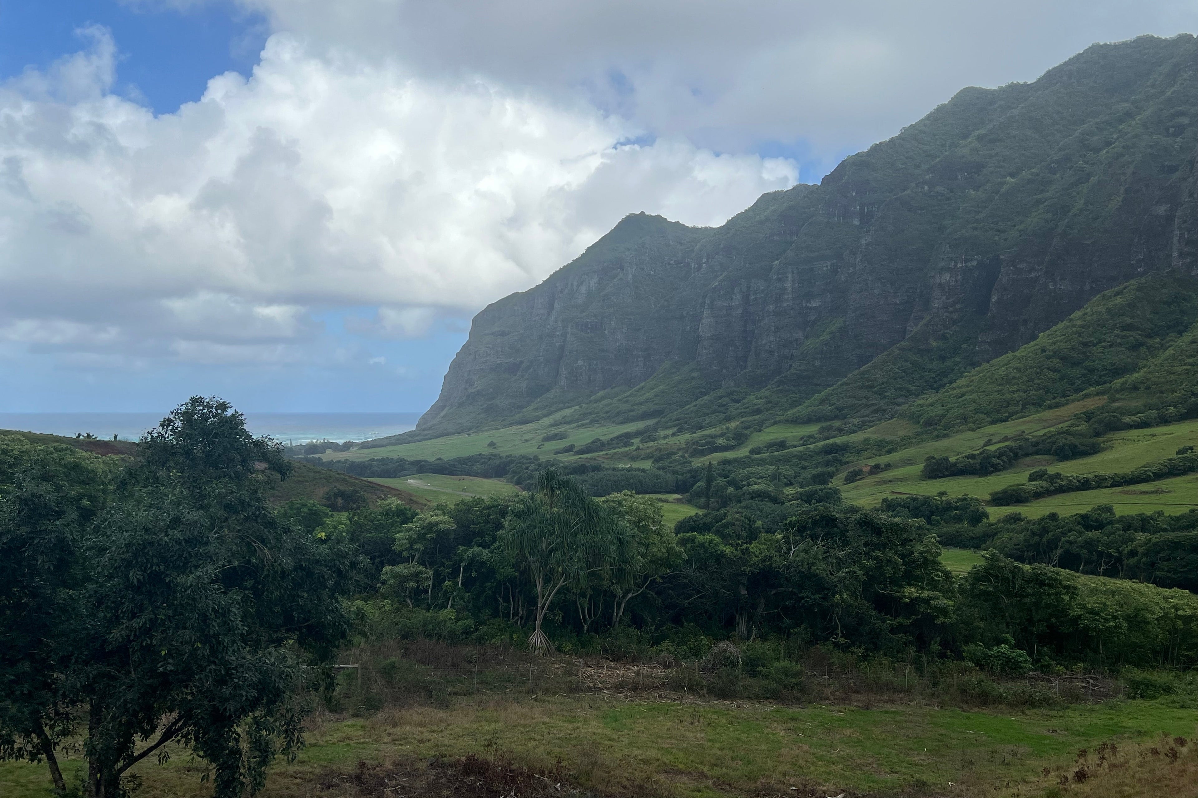 Lush green valley with a mountainous backdrop under a partly cloudy sky